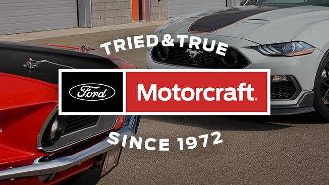 Motorcraft Tanica per vapori di carburante - CX2660